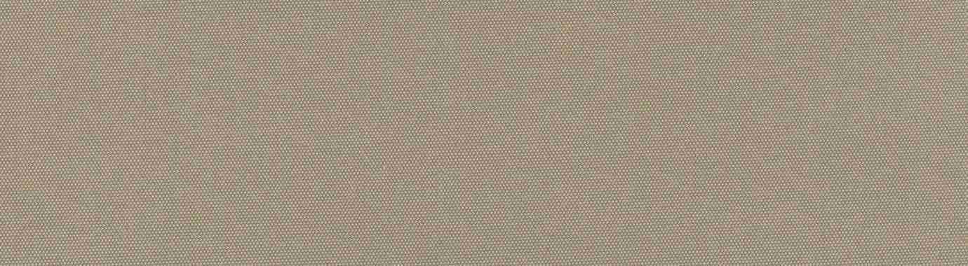 6119